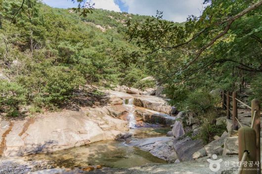 스타데일리뉴스