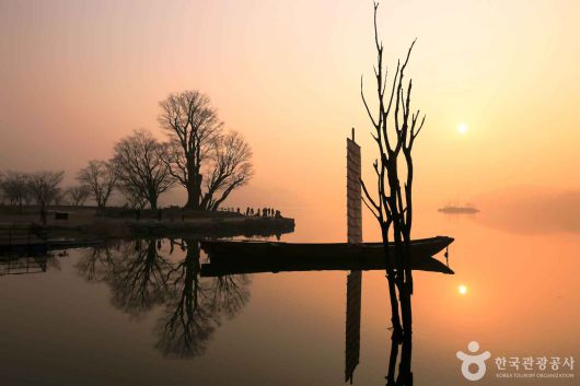 스타데일리뉴스