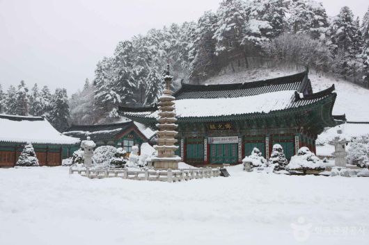 스타데일리뉴스