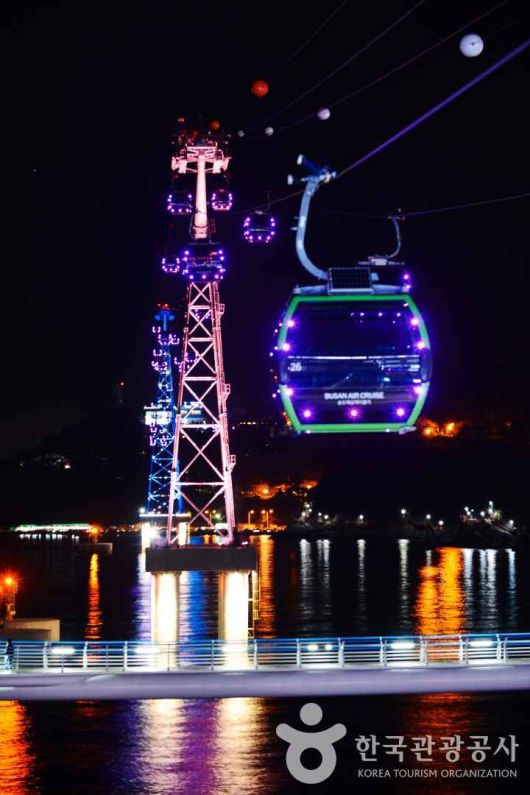 스타데일리뉴스