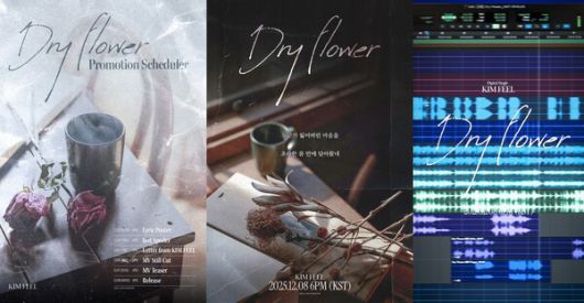 스타데일리뉴스