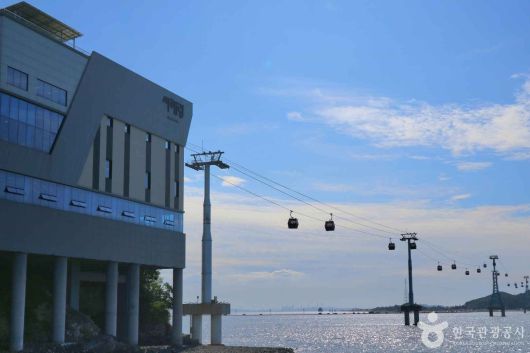 스타데일리뉴스