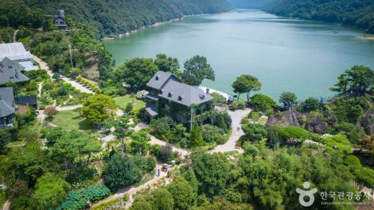 스타데일리뉴스