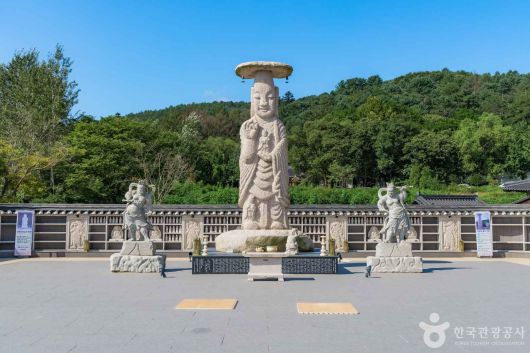 스타데일리뉴스