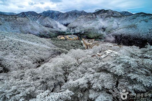 스타데일리뉴스