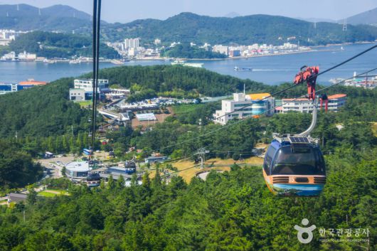 스타데일리뉴스