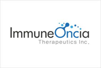 스타데일리뉴스