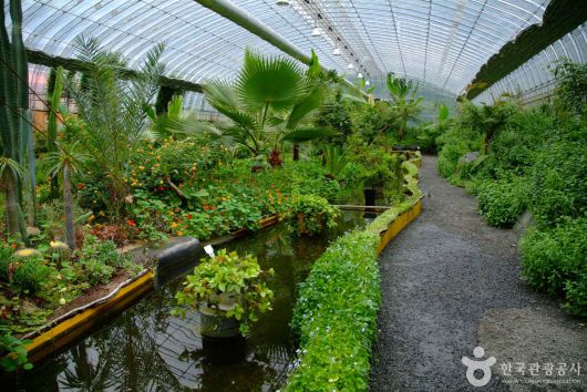 스타데일리뉴스