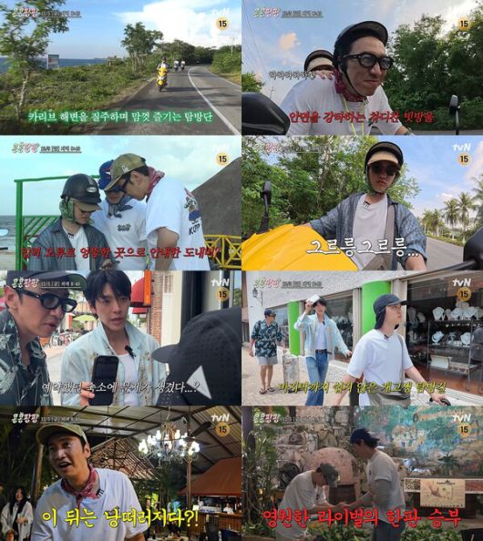 스타데일리뉴스