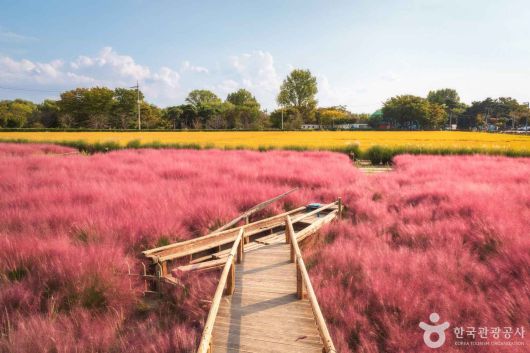 스타데일리뉴스