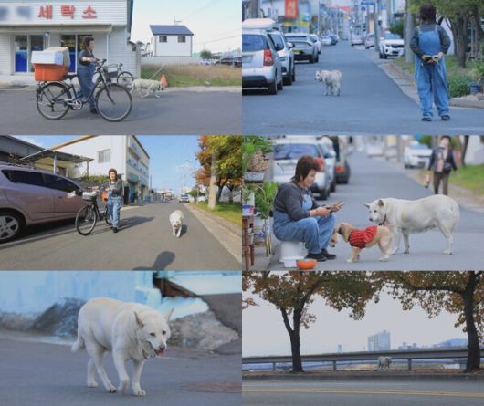 스타데일리뉴스