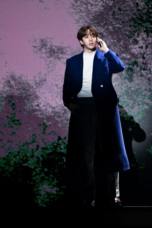 스타데일리뉴스