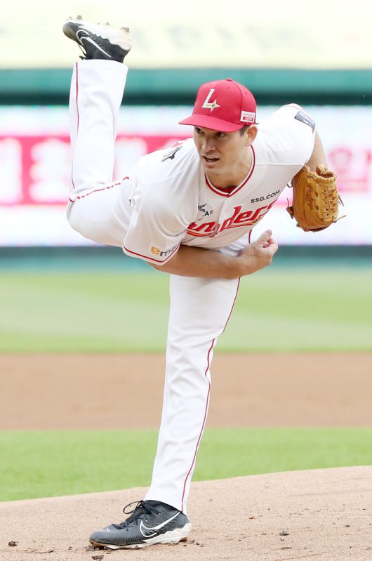 스타데일리뉴스