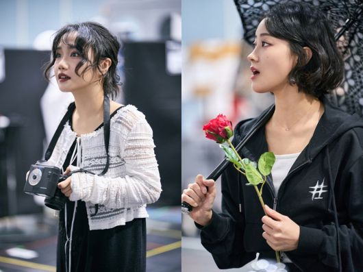 스타데일리뉴스