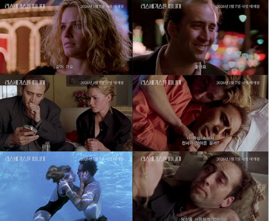 스타데일리뉴스