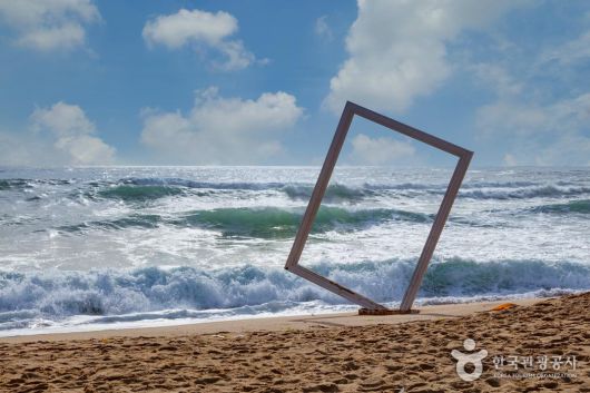 스타데일리뉴스