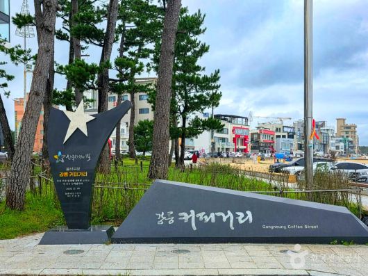 스타데일리뉴스