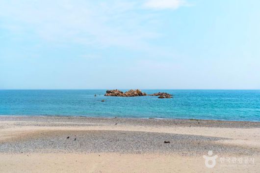 스타데일리뉴스