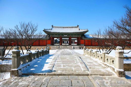 스타데일리뉴스