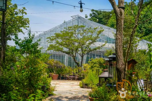 스타데일리뉴스