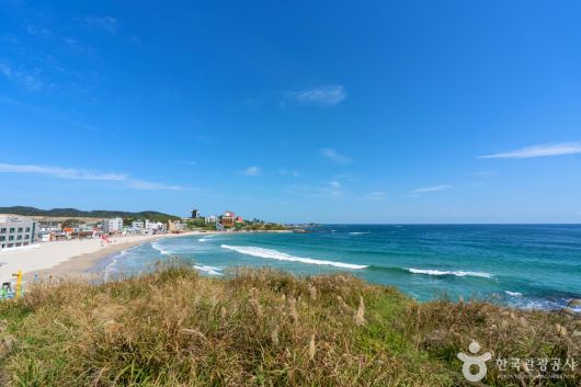 스타데일리뉴스