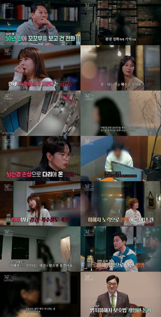 스타데일리뉴스