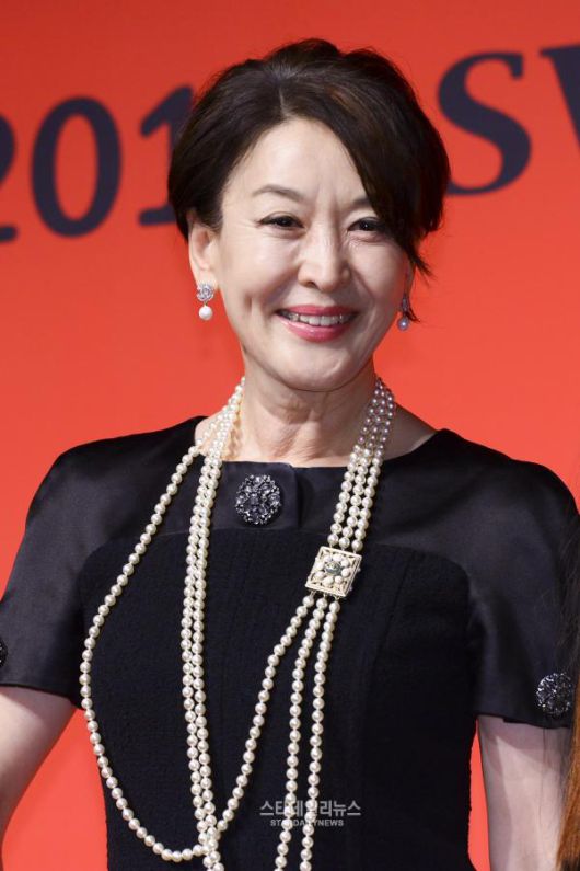 스타데일리뉴스