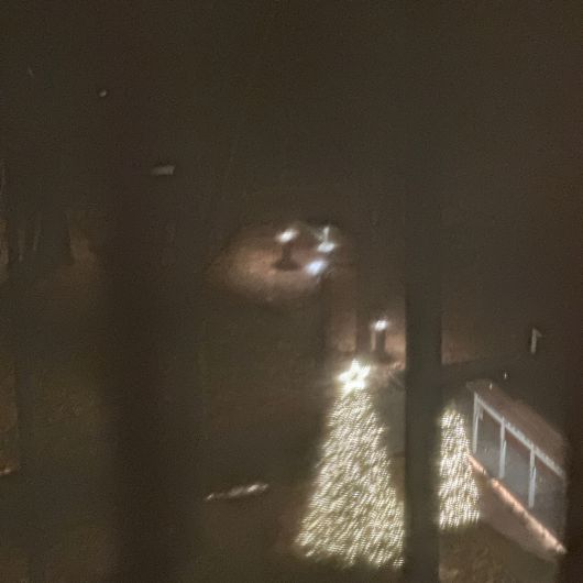 스타데일리뉴스