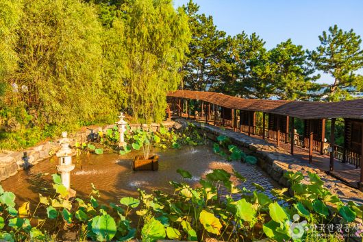 스타데일리뉴스