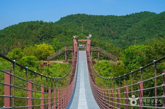 스타데일리뉴스