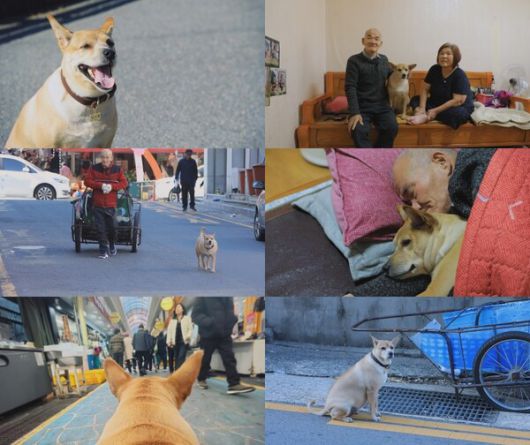 스타데일리뉴스