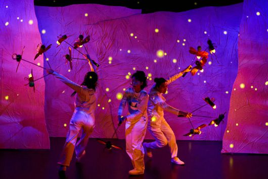 스타데일리뉴스