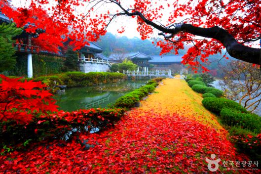 스타데일리뉴스