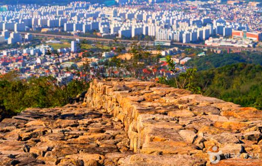 스타데일리뉴스