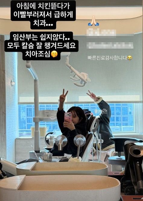 스타데일리뉴스