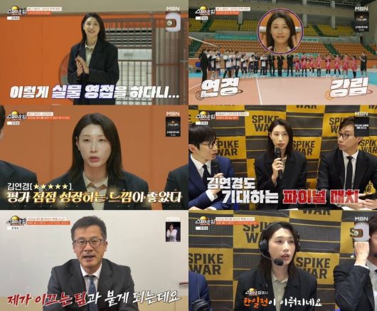 스타데일리뉴스