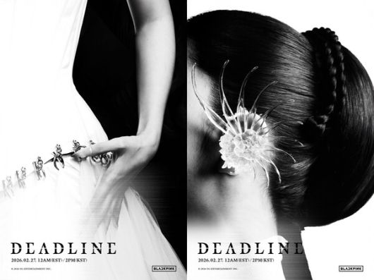 스타데일리뉴스