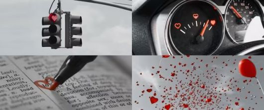 스타데일리뉴스