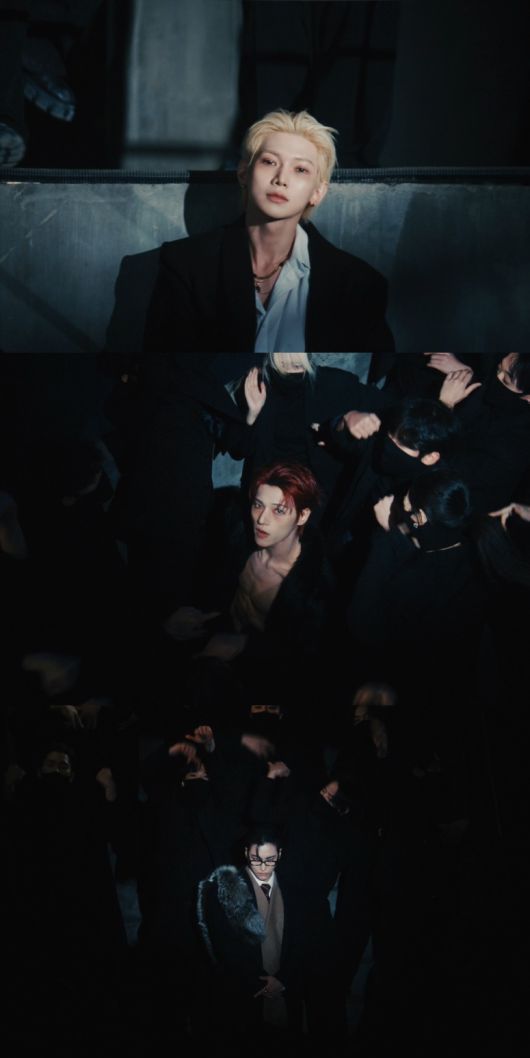 스타데일리뉴스