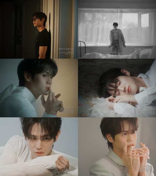 스타데일리뉴스