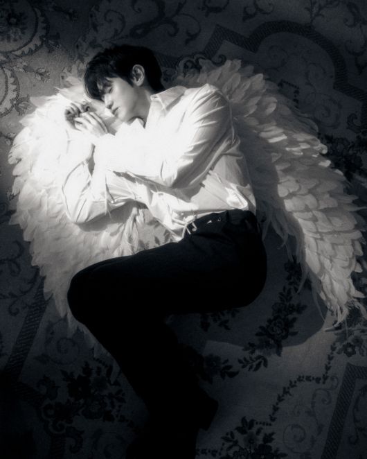 스타데일리뉴스