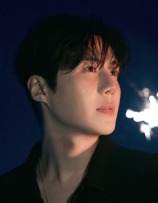 스타데일리뉴스