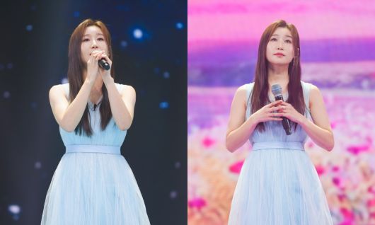 스타데일리뉴스