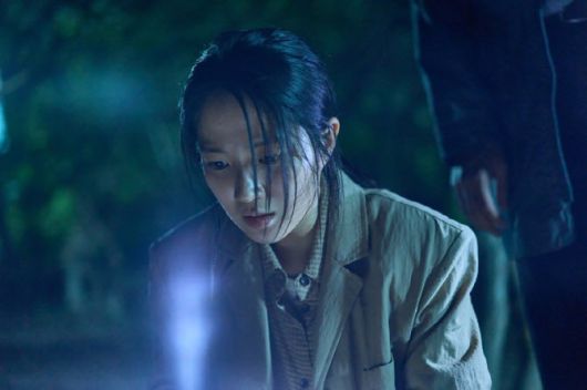 스타데일리뉴스