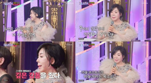 스타데일리뉴스