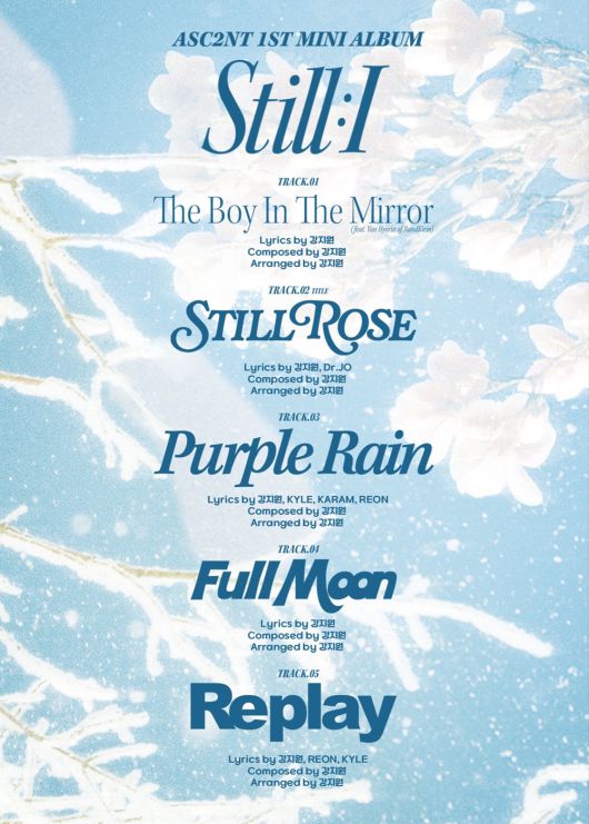 스타데일리뉴스