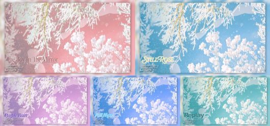 스타데일리뉴스