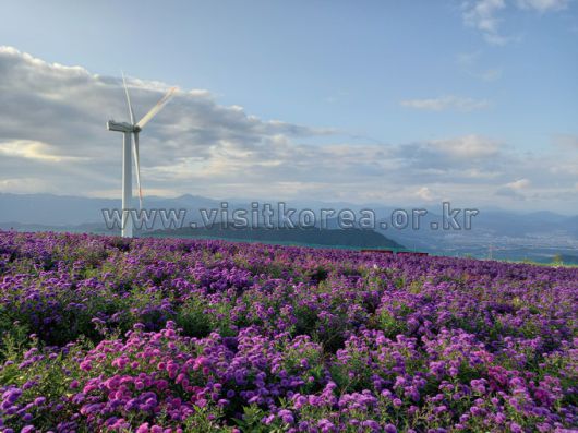 스타데일리뉴스