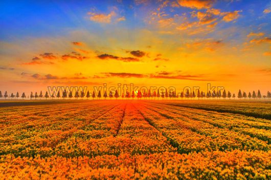 스타데일리뉴스