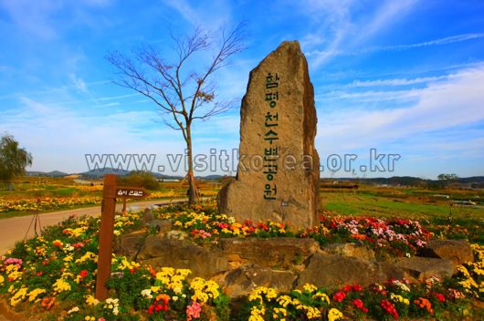 스타데일리뉴스